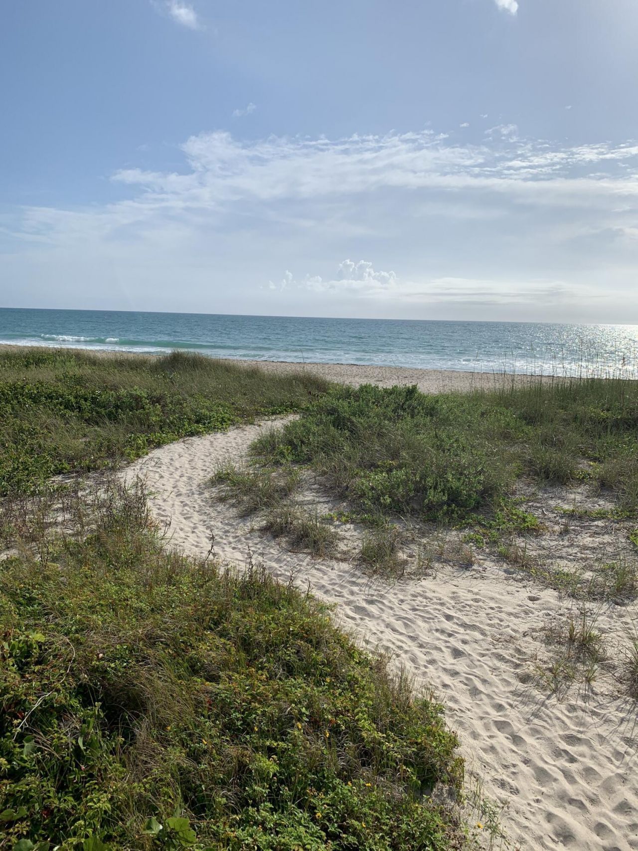 5167 N Highway A1a Highway, Unit 806, Fort Pierce, FL 34949 Photo