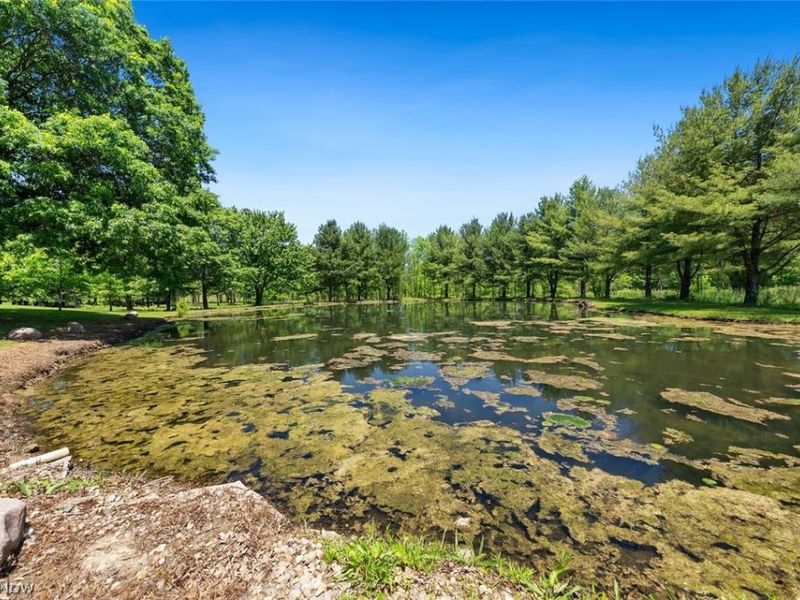 3190 Fixler Road , Medina, OH 44256 Photo 42