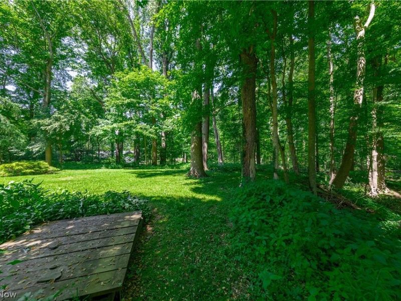 481 Chagrin River Road, Gates Mills, OH 44040 Photo 47