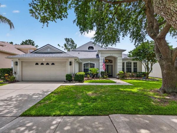 18127 HERON WALK DRIVE, TAMPA, FL 33647