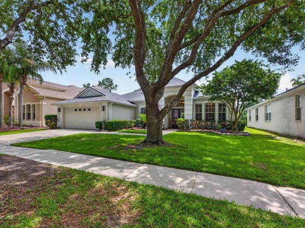18127 HERON WALK DRIVE, TAMPA, FL 33647