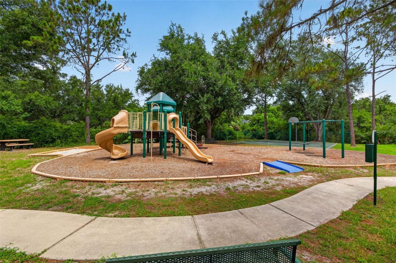 18127 Heron Walk Drive , Tampa, FL 33647 Photo