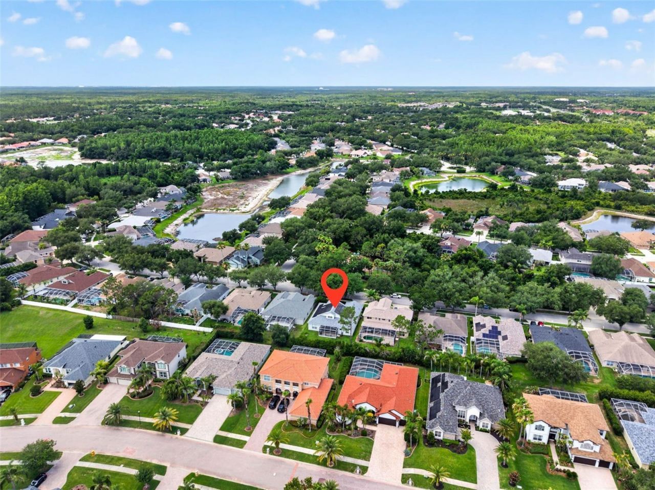 18127 Heron Walk Drive , Tampa, FL 33647 Photo