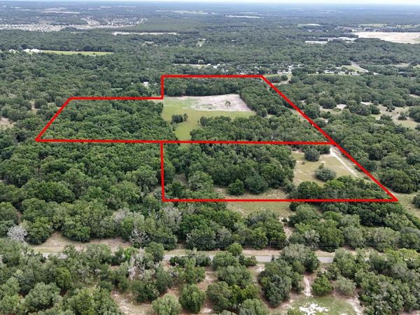 5501 CEMETERY ROAD , MOUNT DORA, FL 32757