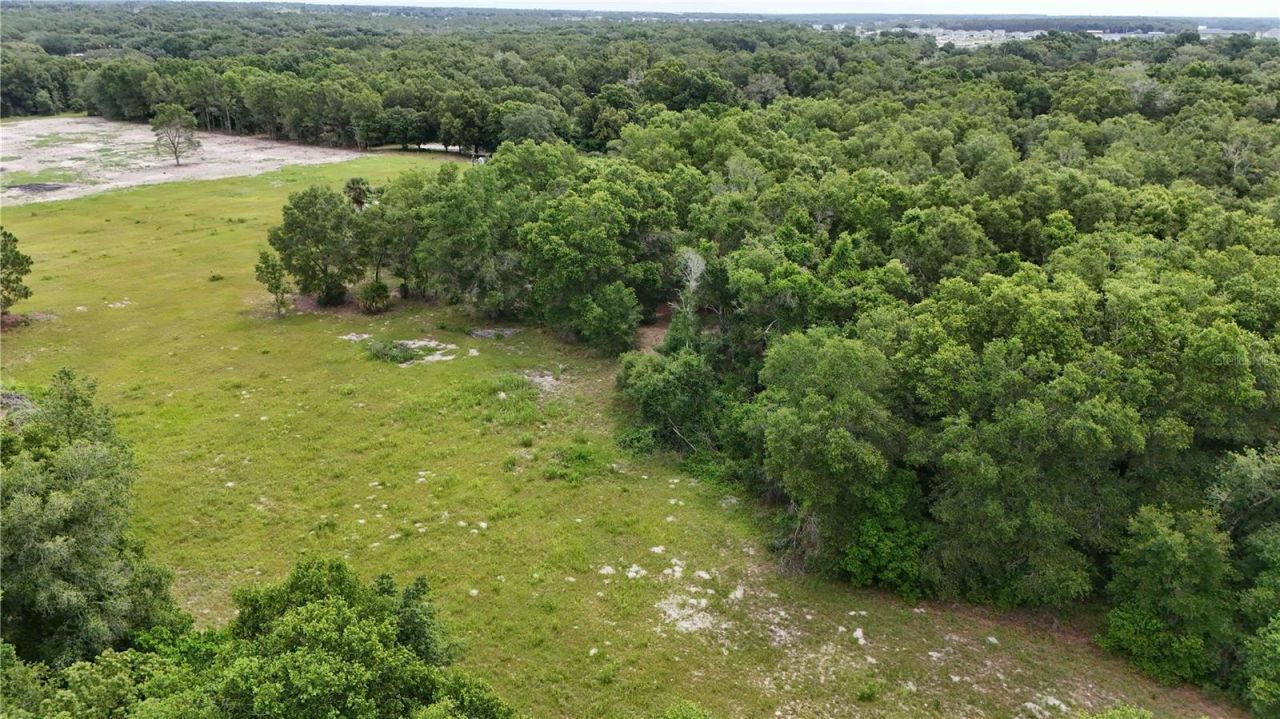 5501 Cemetery Road , Mount Dora, FL 32757 Photo