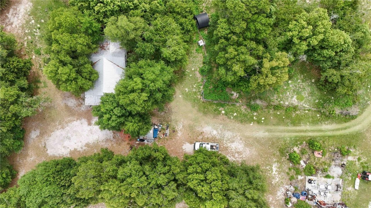 5501 Cemetery Road , Mount Dora, FL 32757 Photo