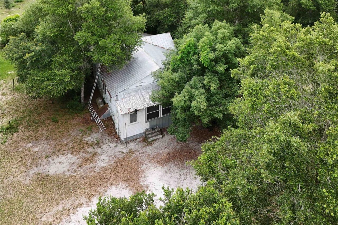 5501 Cemetery Road , Mount Dora, FL 32757 Photo