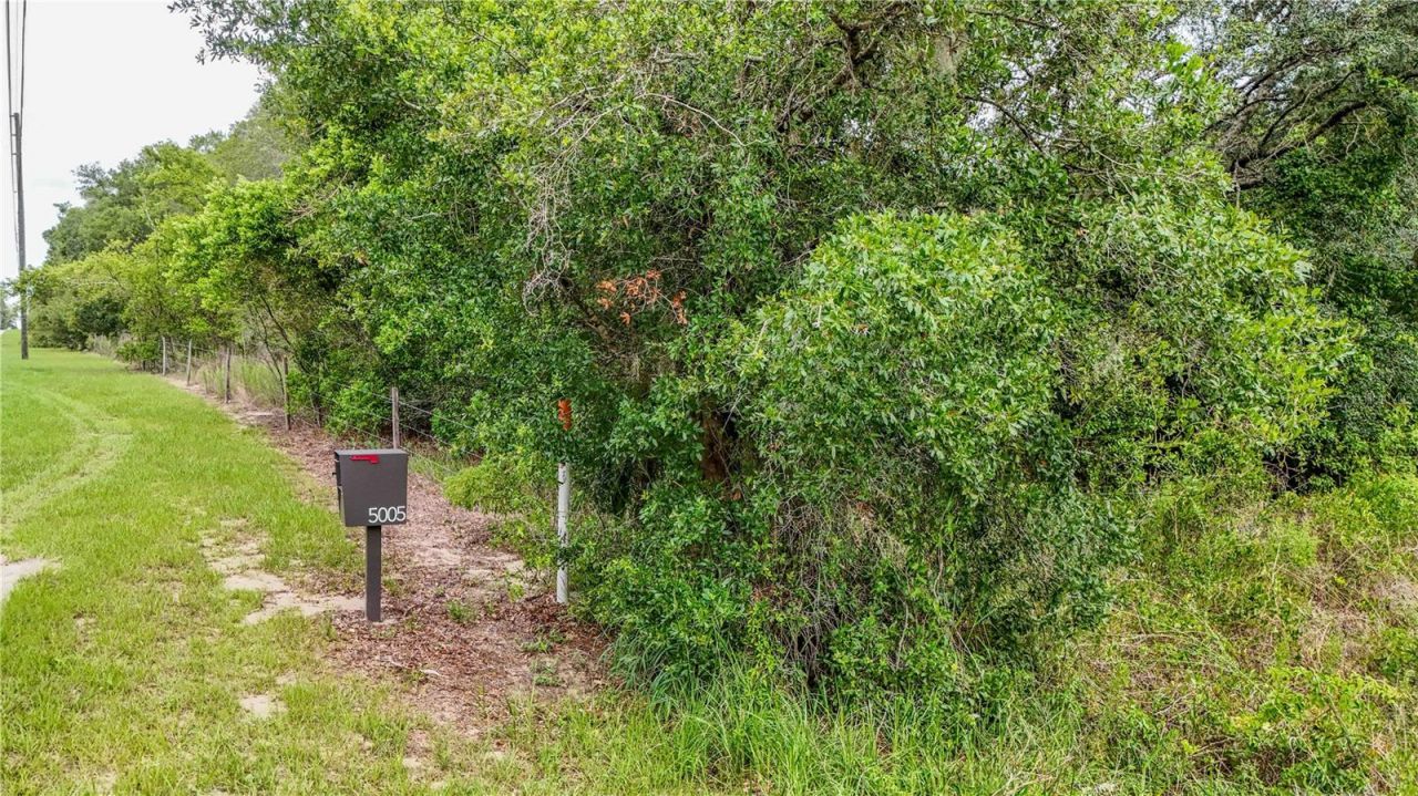 5501 Cemetery Road , Mount Dora, FL 32757 Photo