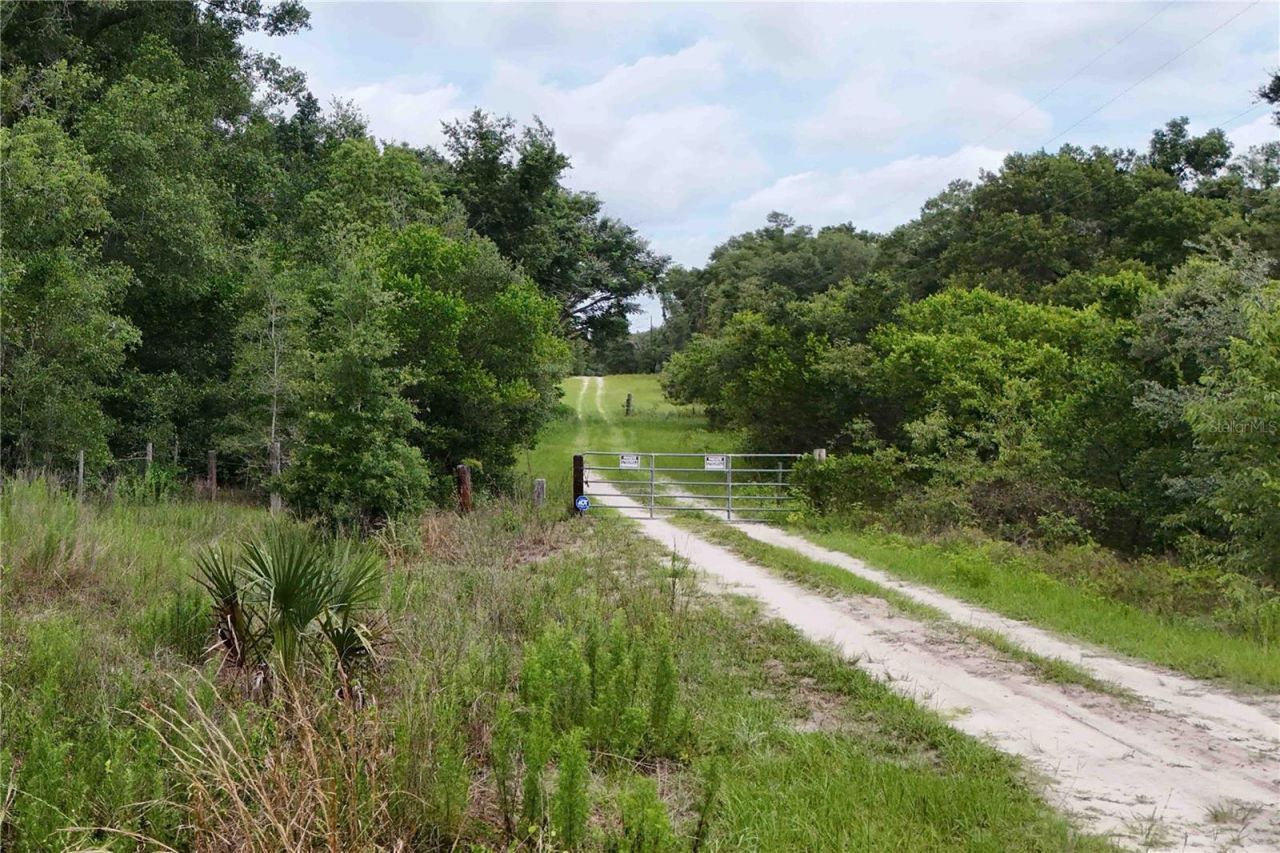 5501 Cemetery Road , Mount Dora, FL 32757 Photo