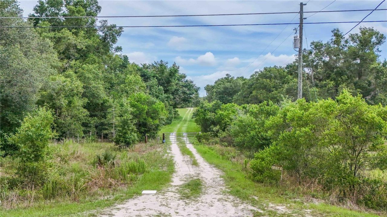 5501 Cemetery Road , Mount Dora, FL 32757 Photo