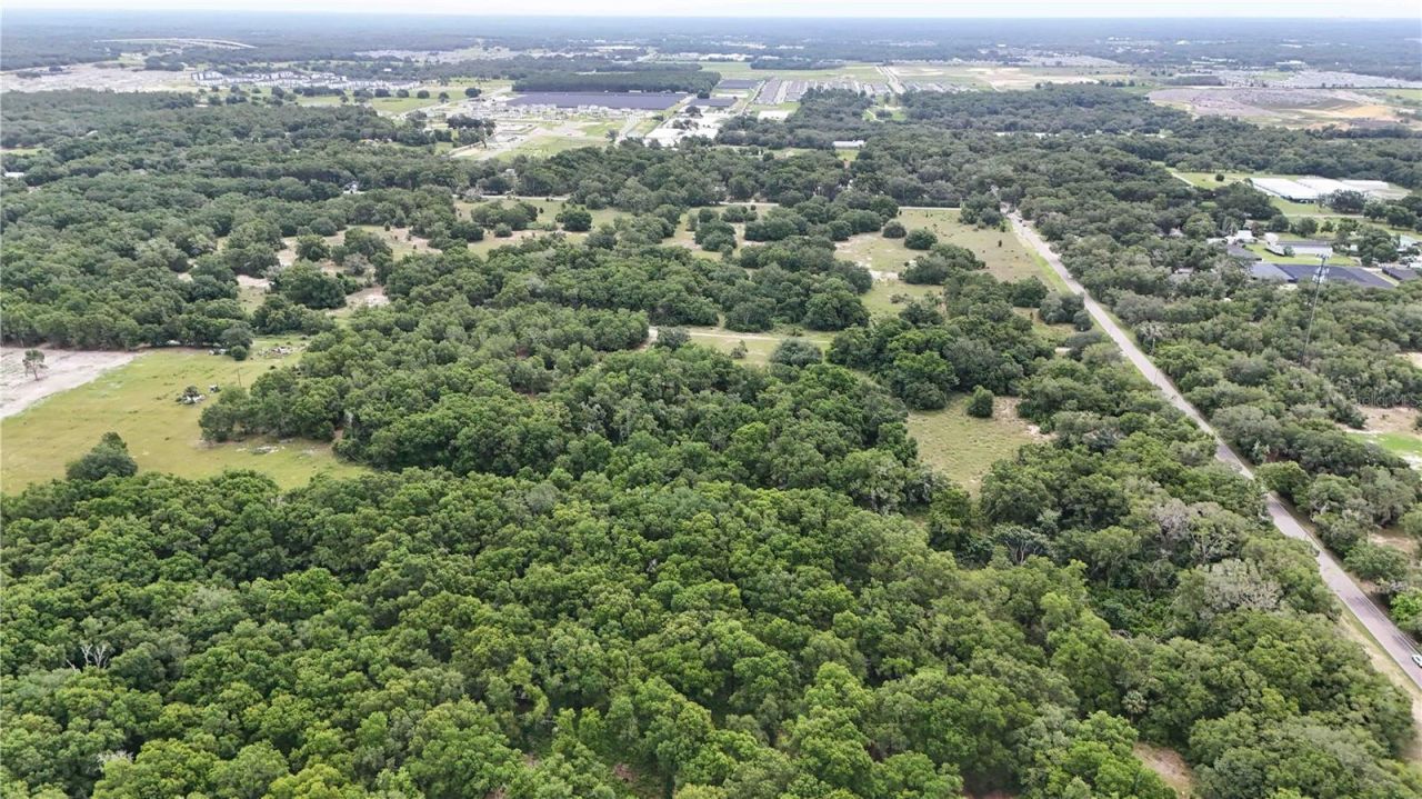5501 Cemetery Road , Mount Dora, FL 32757 Photo