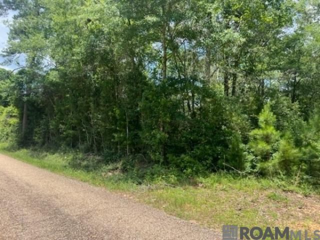 20050 Sylvest Road, Franklinton, LA 70438 Main Photo