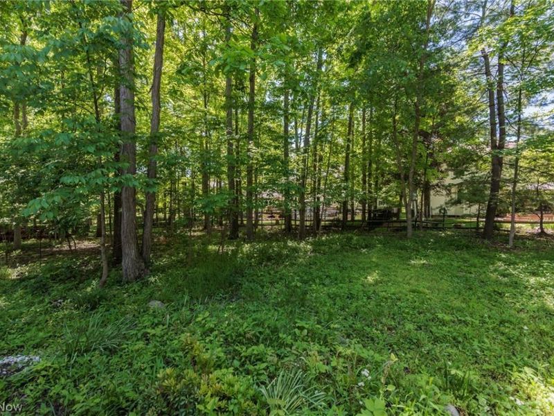 818 Shagbark Trail , Medina, OH 44256 Photo 48