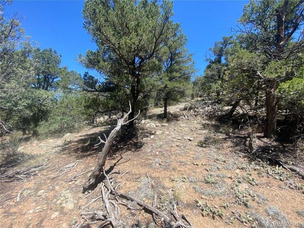 TR-142 17th Trail , Cotopaxi, CO 81223