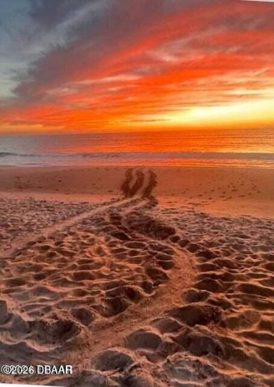 3000 Ocean Shore Boulevard, Unit #9, Ormond Beach, FL 32176 Photo