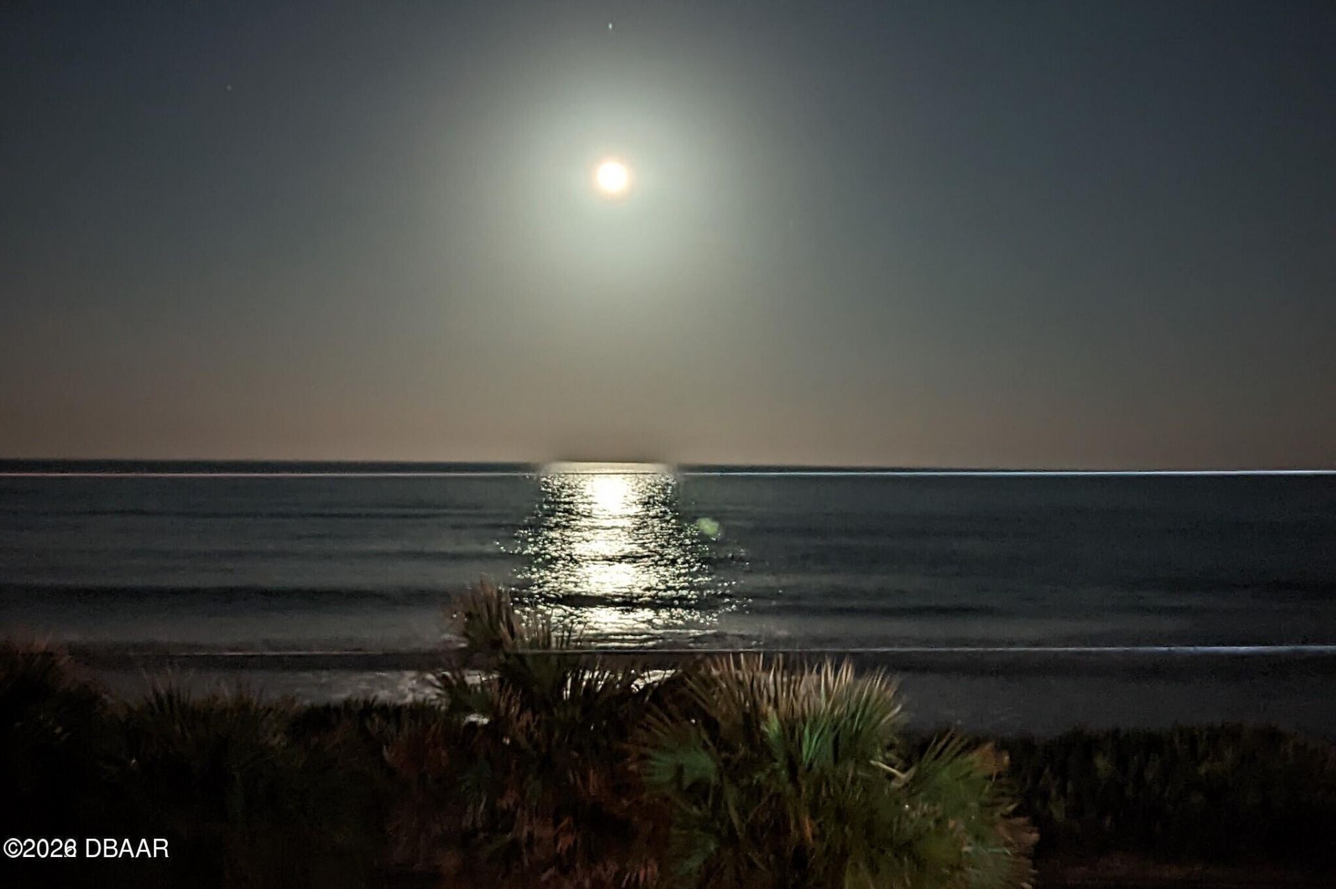 3000 Ocean Shore Boulevard, Unit #9, Ormond Beach, FL 32176 Photo