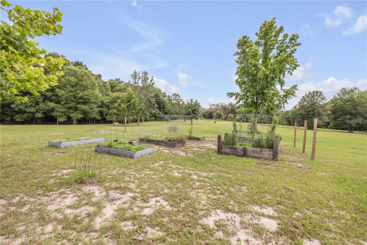 1167 Ohio Street , De Leon Springs, FL 32130 Photo