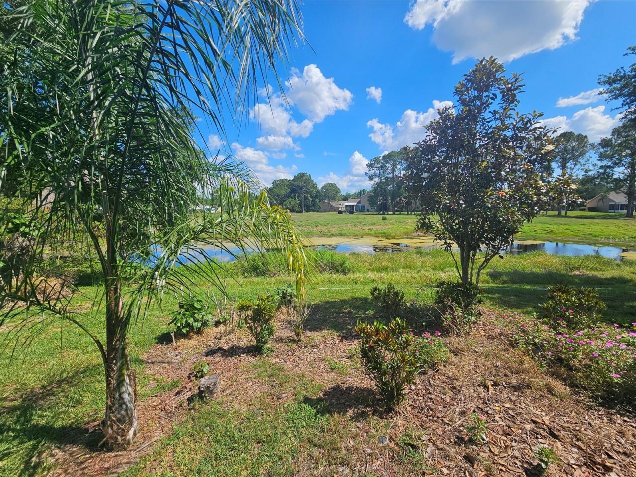 11340 Tee Time Circle, New Port Richey, FL 34654 Photo