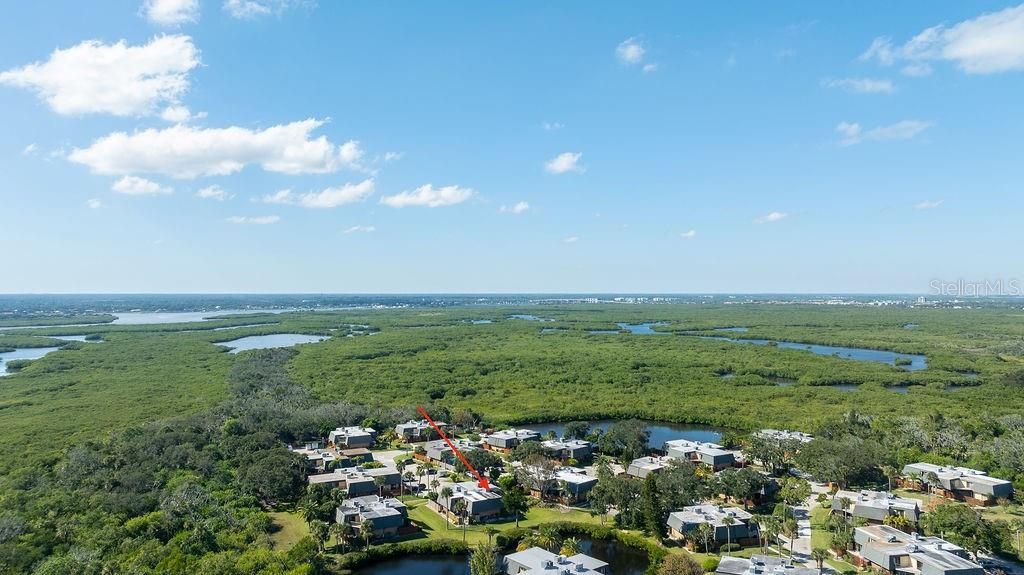113 Cedar Dunes Drive , New Smyrna Beach, FL 32169 Photo