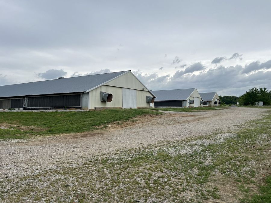 Property Image 7