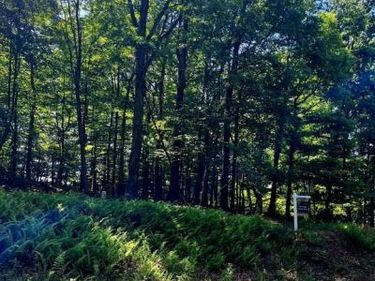 0 , STAR TANNERY, VA 22654