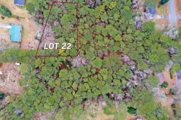 Lots 21&22 Gadsden Loop photo 4