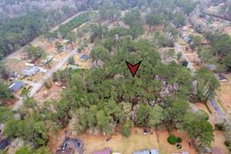 Lots 21&22 Gadsden Loop photo 4