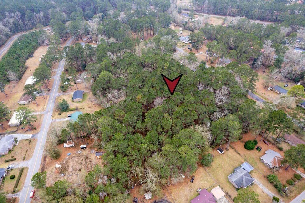 Lots 21&22 Gadsden Loop Photo 6