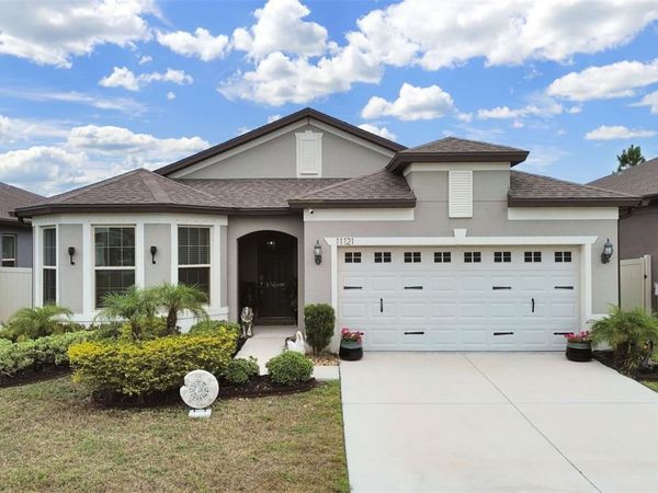 11121 GREEN HARVEST DRIVE , RIVERVIEW, FL 33578