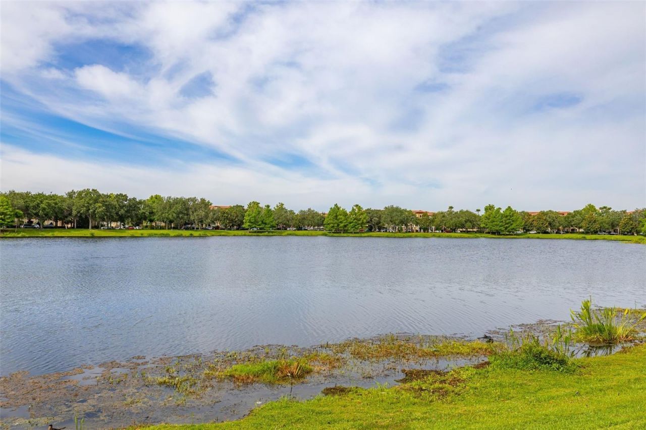 7435 Ripplepointe Way , Windermere, FL 34786 Photo