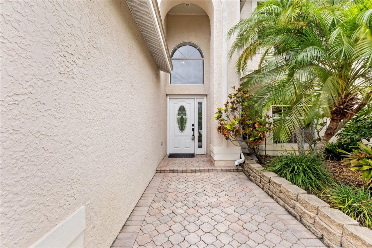 11503 Whispering Hollow Drive, Tampa, FL 33635 Photo
