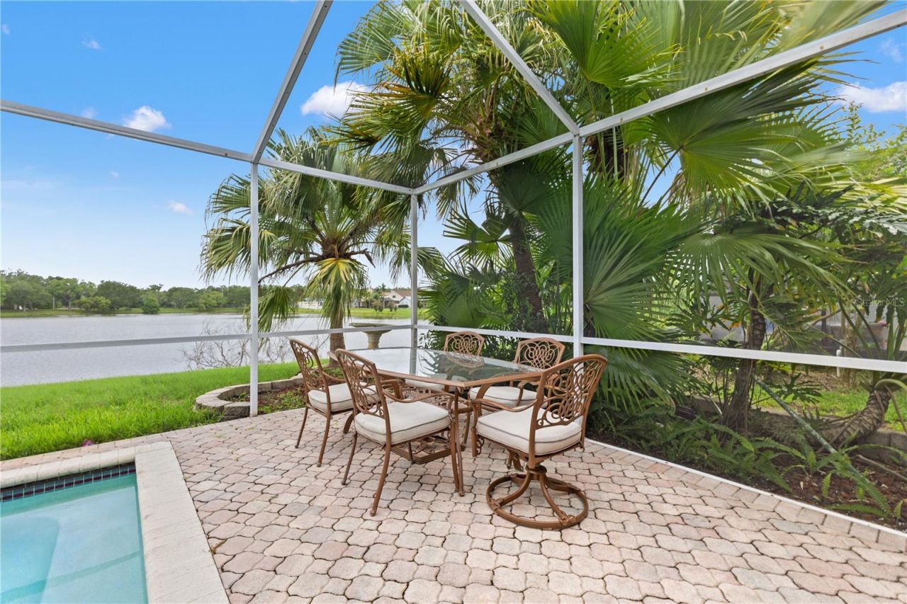 11503 Whispering Hollow Drive, Tampa, FL 33635 Photo