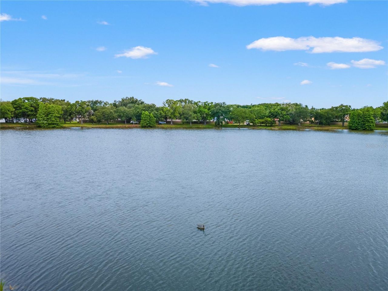 11503 Whispering Hollow Drive, Tampa, FL 33635 Photo