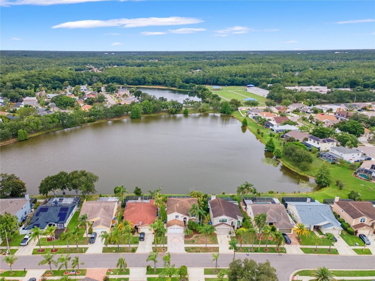 11503 Whispering Hollow Drive, Tampa, FL 33635 Photo