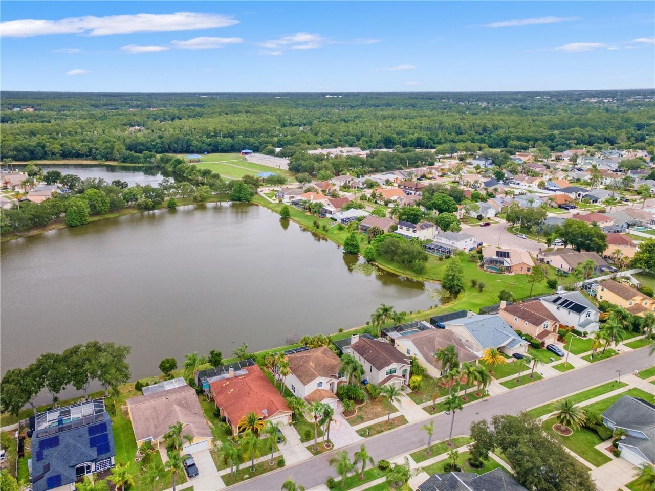 11503 Whispering Hollow Drive, Tampa, FL 33635 Photo