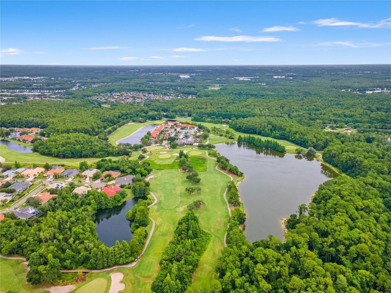 11503 Whispering Hollow Drive, Tampa, FL 33635 Photo
