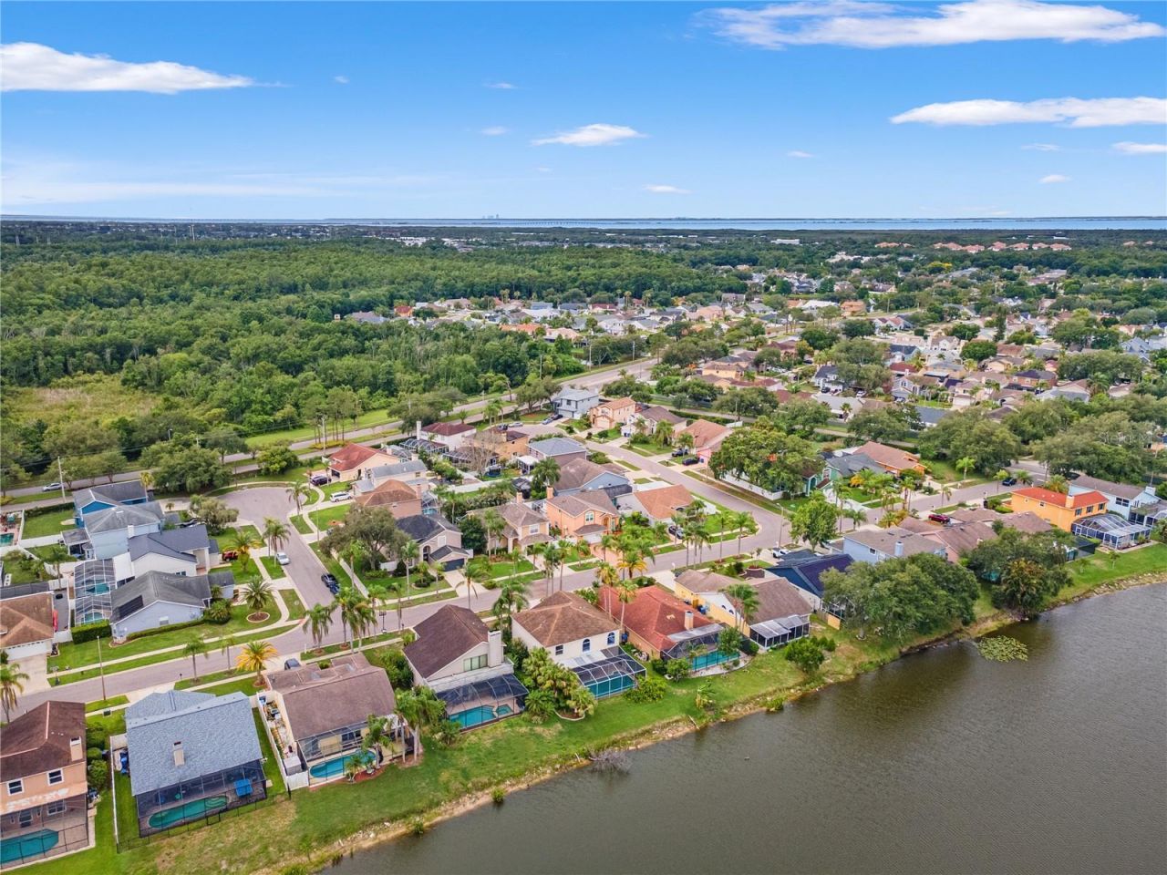 11503 Whispering Hollow Drive, Tampa, FL 33635 Photo