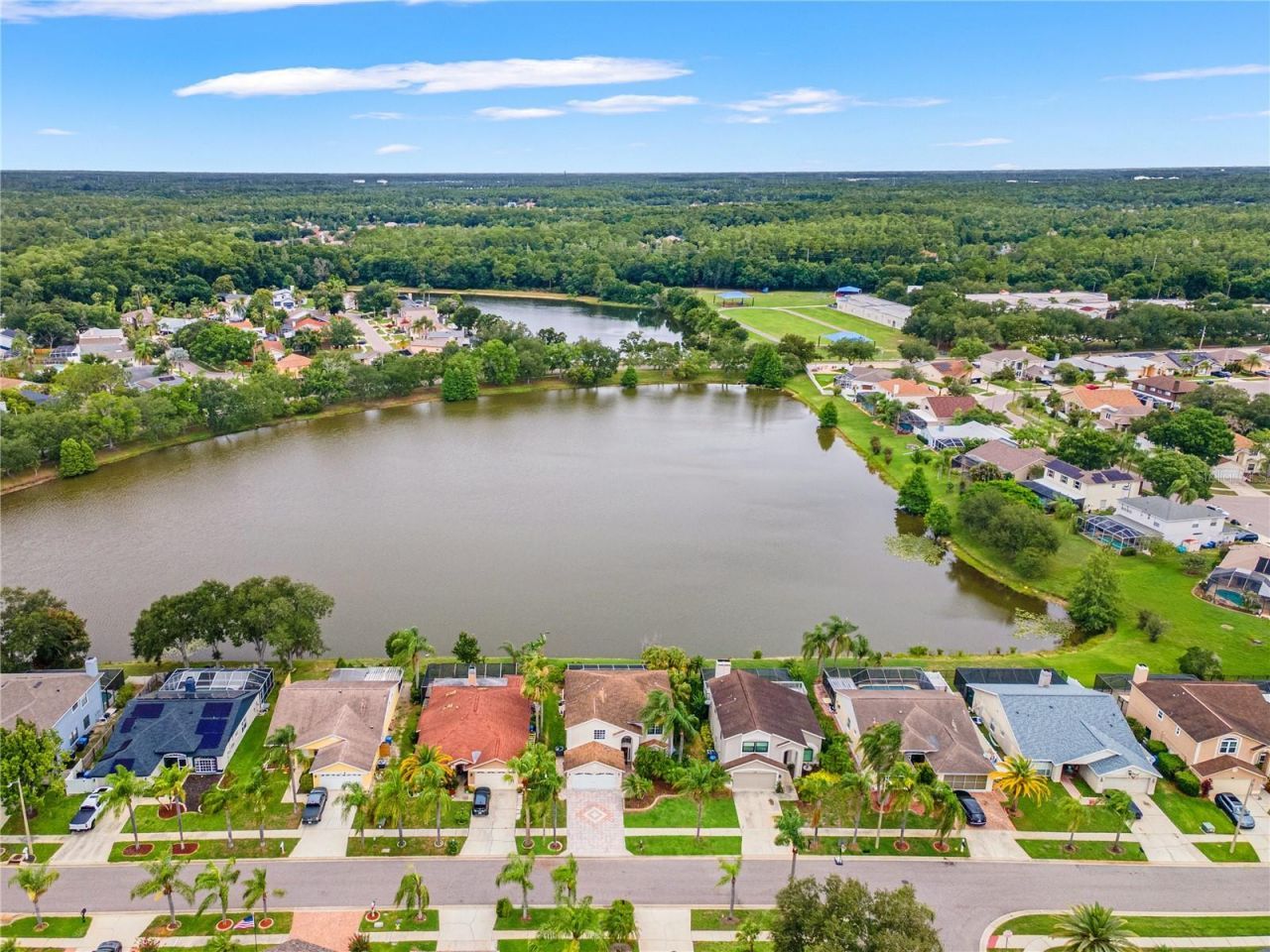 11503 Whispering Hollow Drive, Tampa, FL 33635 Photo