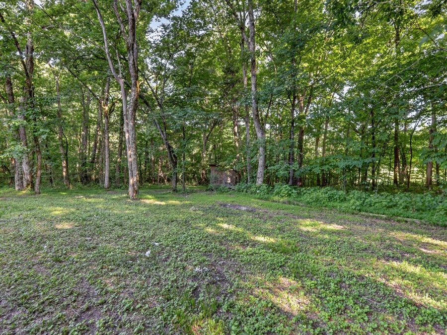 Property Image 54