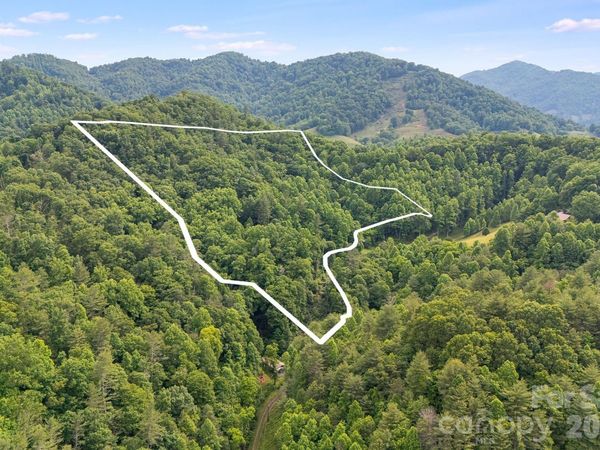 99999 Acorn Drive , Marshall, NC 28754