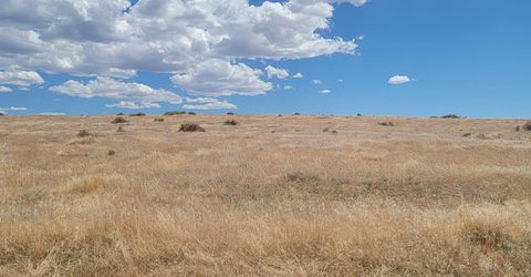 0 Dun Glen Canyon Rd, Imlay, NV 89418 Photo