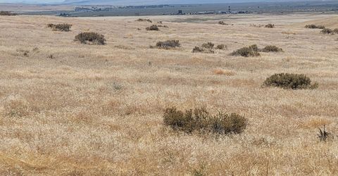 0 Dun Glen Canyon Rd, Imlay, NV 89418 Photo