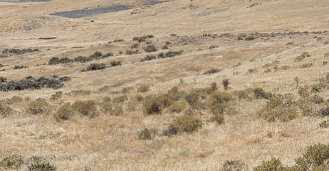 0 Dun Glen Canyon Rd, Imlay, NV 89418 Photo