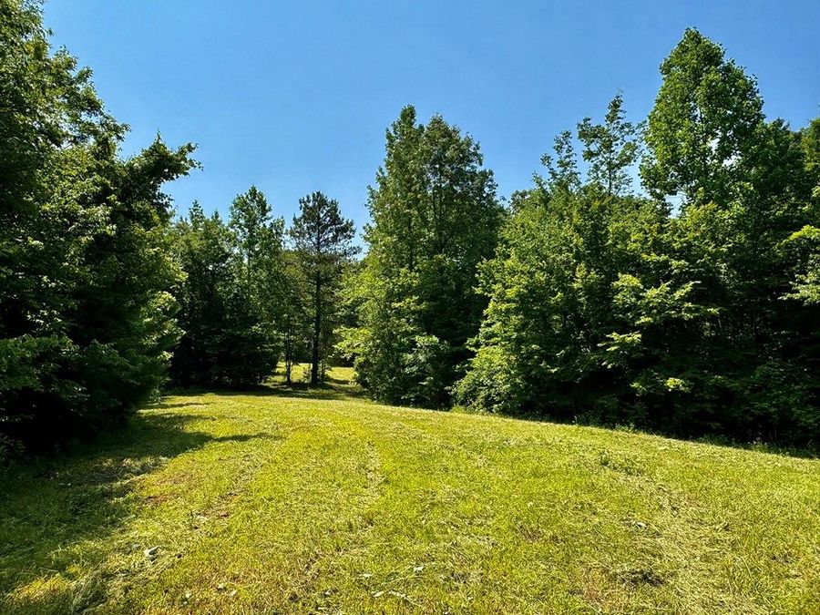 Property Image 45