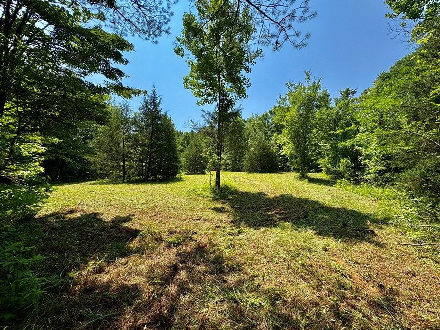 Property Image 47