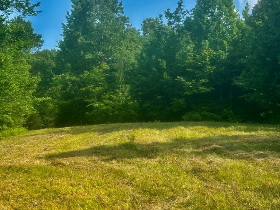 Property Image 52