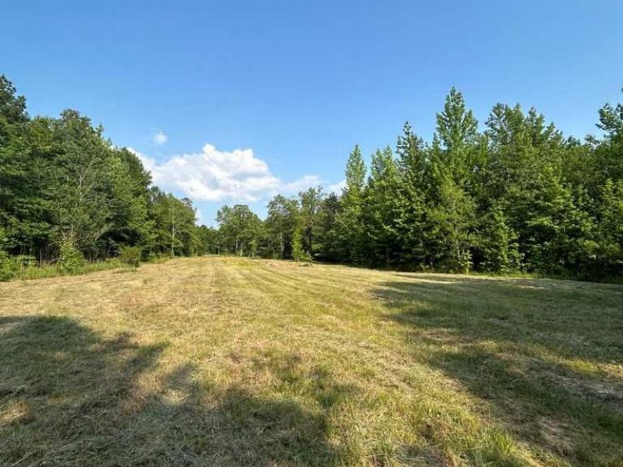 Property Image 54
