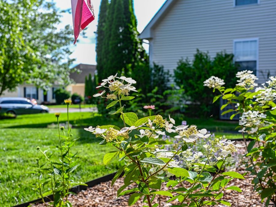 Property Image 49