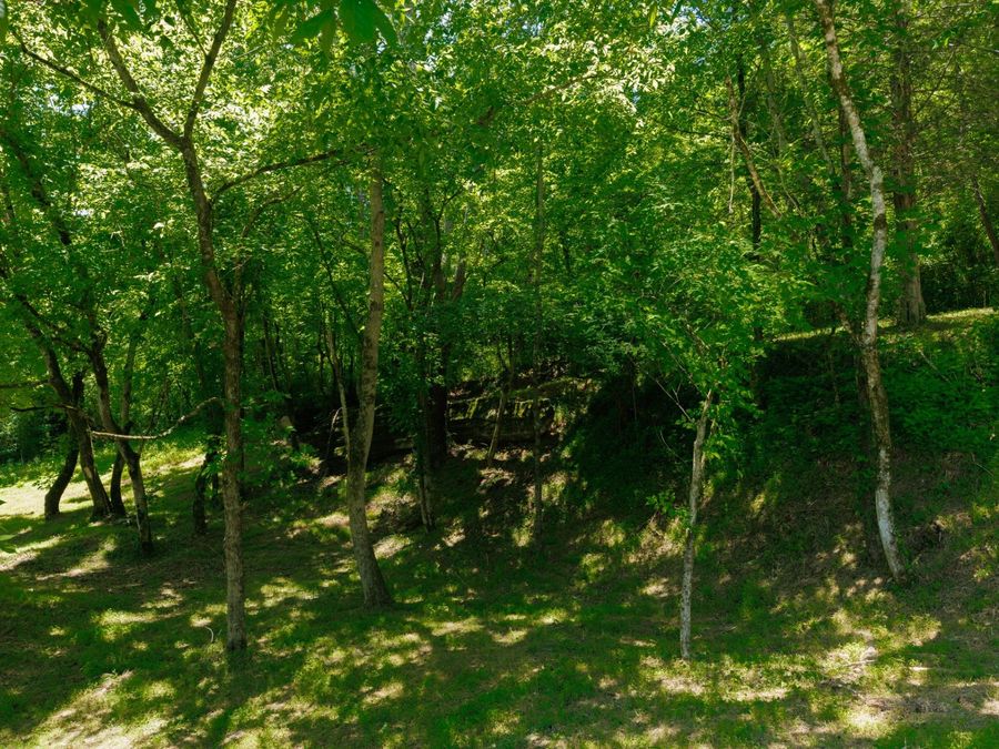 Property Image 57