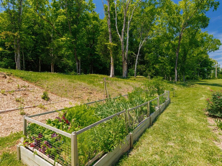 Property Image 64
